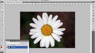 Pixelstarter Photoshop Videotraining Teil 21. Bilder kombinieren