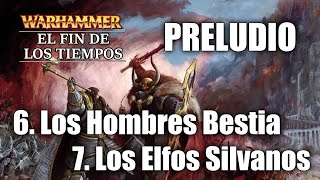 5. LOS HOMBRES BESTIA y LOS ELFOS SILVANOS // (ASMR) El Fin de los Tiempos de WARHAMMER