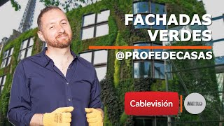 FACHADAS VERDES | T2: Techos, fachada y terrazas | Cap 3