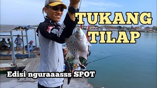 Nguras SPOT!!! Mancing Baronang di PELABUHAN KALIANGET Sumenep