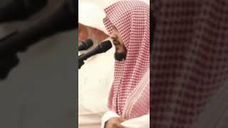 فجريات || القارئ ماجد الحازمي