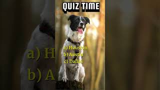 🤔 Test Your IQ 🧐 ‒ Part 11 🤟 Best trivia questions.USA quiz #trivia #quiz