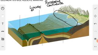 ELEMENTOS DEL RELIEVE MARINO