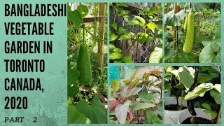 Bangladeshi Shokher Bagan, Canada#2020# Part - 2 # Garden Tour# Growing Own Fruits And Vegetables