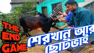 The Late-st Qurbani Eid Vlog 2024 || Qurbani Bull grounding Video ||  Purbasha Agro