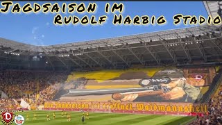 Jagdsaison im Rudolf Harbig Stadion #sgd #dynamodresden #hansarostock #choreotime