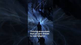 WSDM is now live on TON