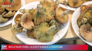 BOLU’NUN YEREL LEZZETİ KANLICA MANTARI