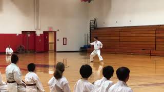 2018 Summer Seminar Ryosuke Shimizu TEKKI NIDAN