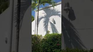 2670 Bird Ave, Coconut Grove, FL 33133