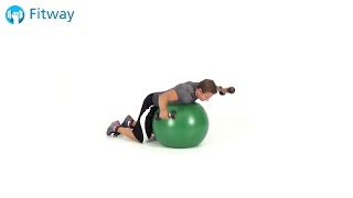 How To Do: Stability Ball Fly - Dumbbell Prone Flat | Back Workout Exercise