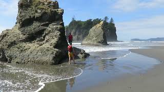 Jake and Ashley Visit the Olympic Peninsula