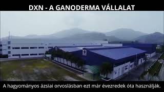 DXN  - A világ legnagyobb ganoderma vállalata