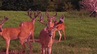 Iowa ATV ride and big deer with Amsoil delaers