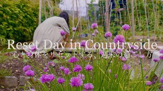 Перезагрузите свой ум во французской сельской местности🐝🥣🌷 Наслаждаемся весной