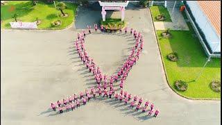 Wacoal | Ngày hội Think Pink - Flashmob hoành tráng  bởi 100 công nhân viên