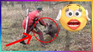 【CRAZY VIDEO】WILD BOAR ATTCK A GUY BUT DOG SAVES HIM!!!