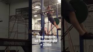 weighted muscle up