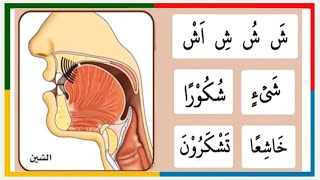 Haroof | حروف تحجی  ش