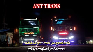 ROMBONGAN ANT TRANS ( ant transport ) dari yogyakarta di kota bertuah