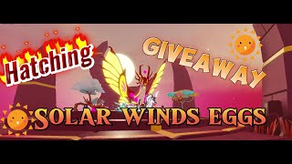 ✨Hatching 220 Solar Winds Eggs✨+!!GIVEAWAY-CLOSED!! {Dragon Adventures} *ROBLOX*