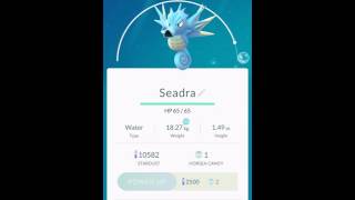 Pokemon Go Evolving horsea into seadra