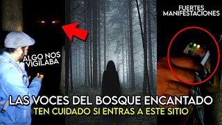 TERROR En Un Bosque ENCANTADO Donde Encontramos ACTIVIDAD SOBRENATURAL