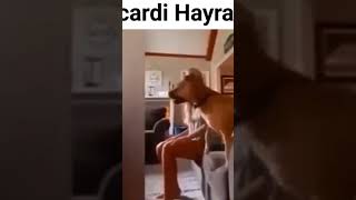 İcardi hayranı 🤩🤩