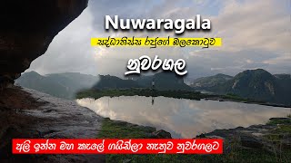 අලි ඉන්න මහ කැලේ ගයිඩ්ලා නැතුව නුවරගලට | Nuwaragala Camping | Vlog 17 #nadaya