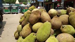 Cheap Price Jack-Fruit In BANGLADESH Trailers