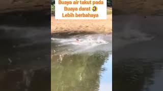 Buaya darat lebih berbahaya