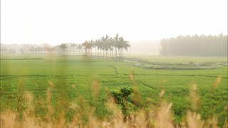 God's own country | Home | Kerala