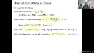 VAKSMAN-SOIBELMAN ODD QUANTUM SPHERES AND COMPLEX QUANTUM PROJECTIVE SPACES REVISITED