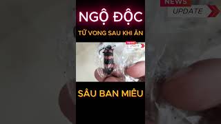 Ăn 10 con sâu ban miêu, nam thanh niên ngộ độc, tử vong #shorts #tintuc24h #tintuc #thoisu