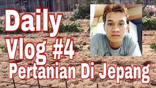 Daily Vlog #4 PERTANIAN DI JEPANG