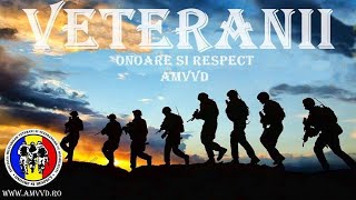 Asociaţia Militarilor Veterani şi Veteranilor cu Dizabilităţi (A.M.V.V.D.) - despre veterani