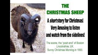 THE CHRISTMAS SHEEP.   An amusing story from Christmas 1993.   www.crackerbooks.fr