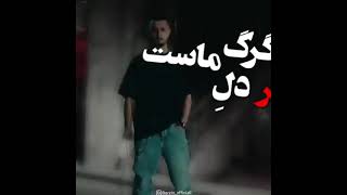 آهنگ جدید شایع و دانیال{تجدیدی🗿}