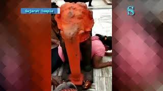 Woman stuck under Elepant idol in Gujarat Temple