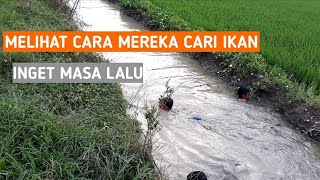 CARI IKAN NILA DI LUBANG PARIT II KESERUAN MEREKA CARI IKAN