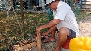 AKI NANGKA BUAT SARUNG PARANG UNTUK SAYA DAN BAGI SEPUCUK REBUNG // SANGAT BAIK HATI //