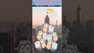 🐑Sheep in NYC. Baa! 🐑 #newyork #bigapple