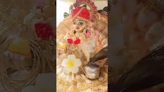 Radha Radhe #shorts #reels #kanha #krishna #radhekrishna #shortvideo #reels #janmasthami #krishn