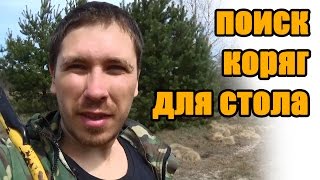 24.04.2015 добыча коряг