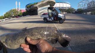 shovelhead camo, OH River.... City fishing....Bank Fishing B Jackson