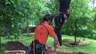 Démonstration pour monter dans un arbre et se déplacer