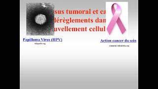 Vidéo 1 processus tumoral et cancer : Plan et introduction