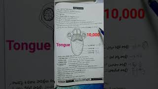 9th class biology/sense organs--Tongue most Imp for tet&dsc. #biologyclass