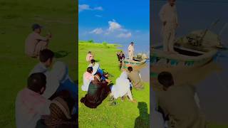 Jo Fisal Jaaye Main vah Deewana Nahin#shorts #viral #trending #youtubeshorts