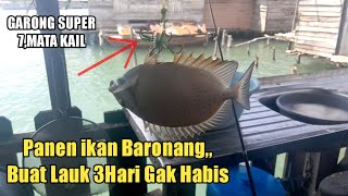 Ternyata Dapur ini Jadi Sarang Ny ikan Baronang